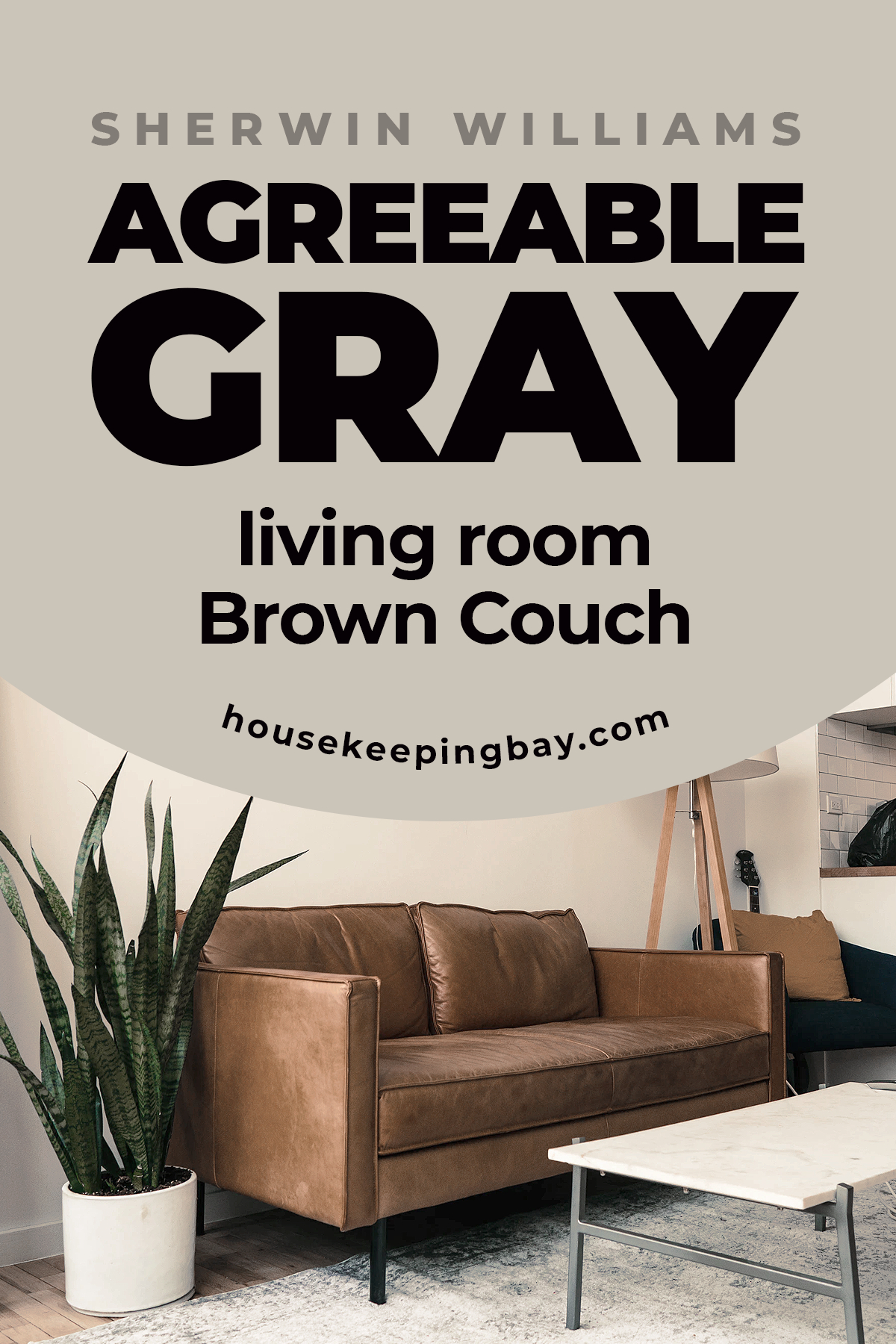 Agreeable Gray living room Brown Couch