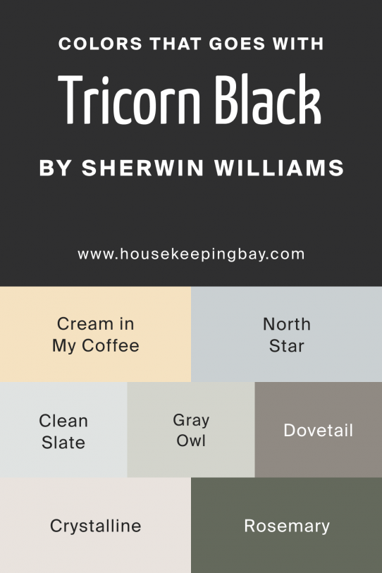 Tricorn Black Sw Paint Color By Sherwin Williams