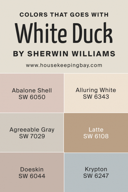 White Duck Sw Paint Color By Sherwin Williams