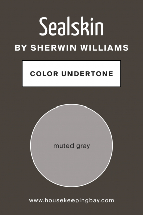 Sealskin Sw Paint Color By Sherwin Williams