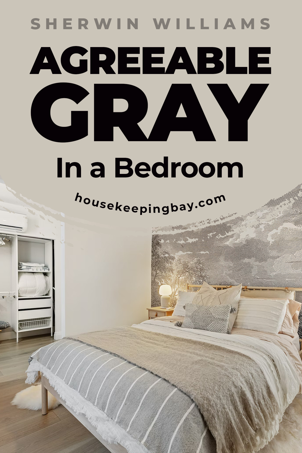 Agreeable Gray In a Bedroom