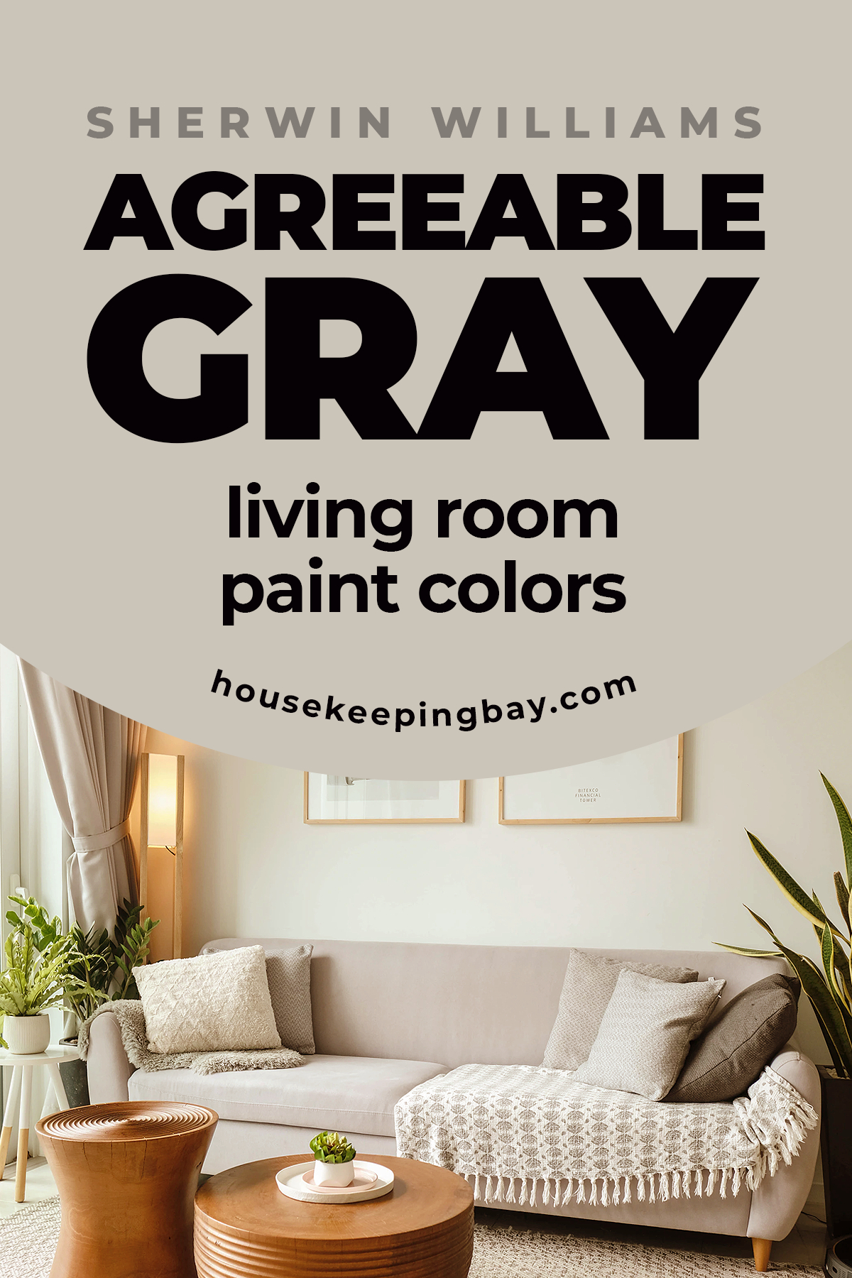 Agreeable Gray living room paint colors