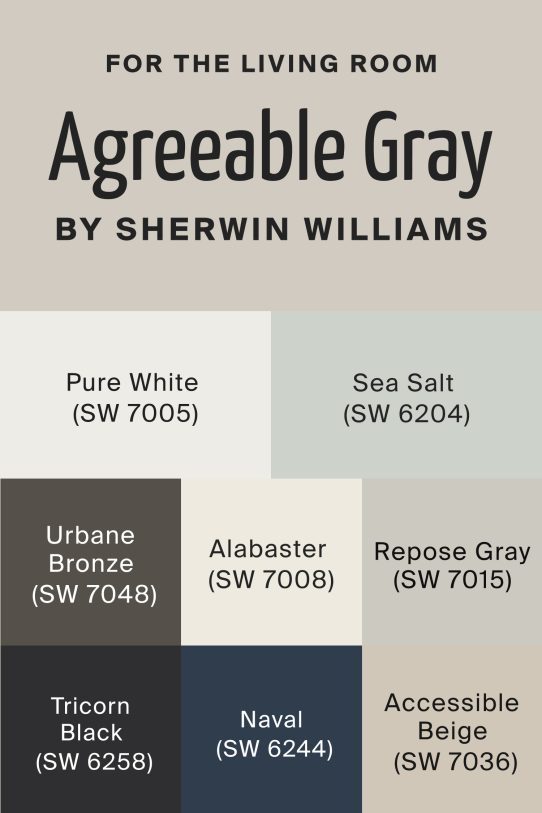 Agreeable Gray In Living Room - Housekeepingbay