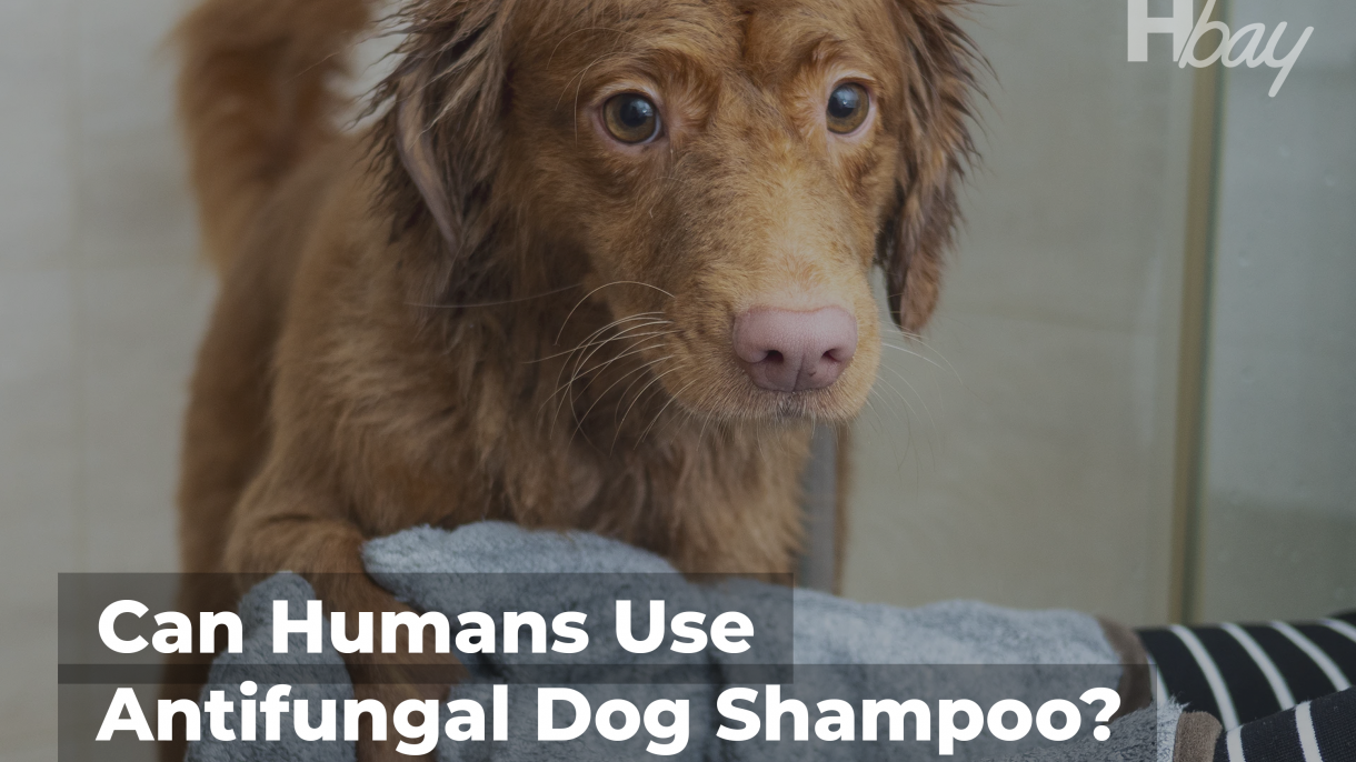 what age can puppies use dog shampoo