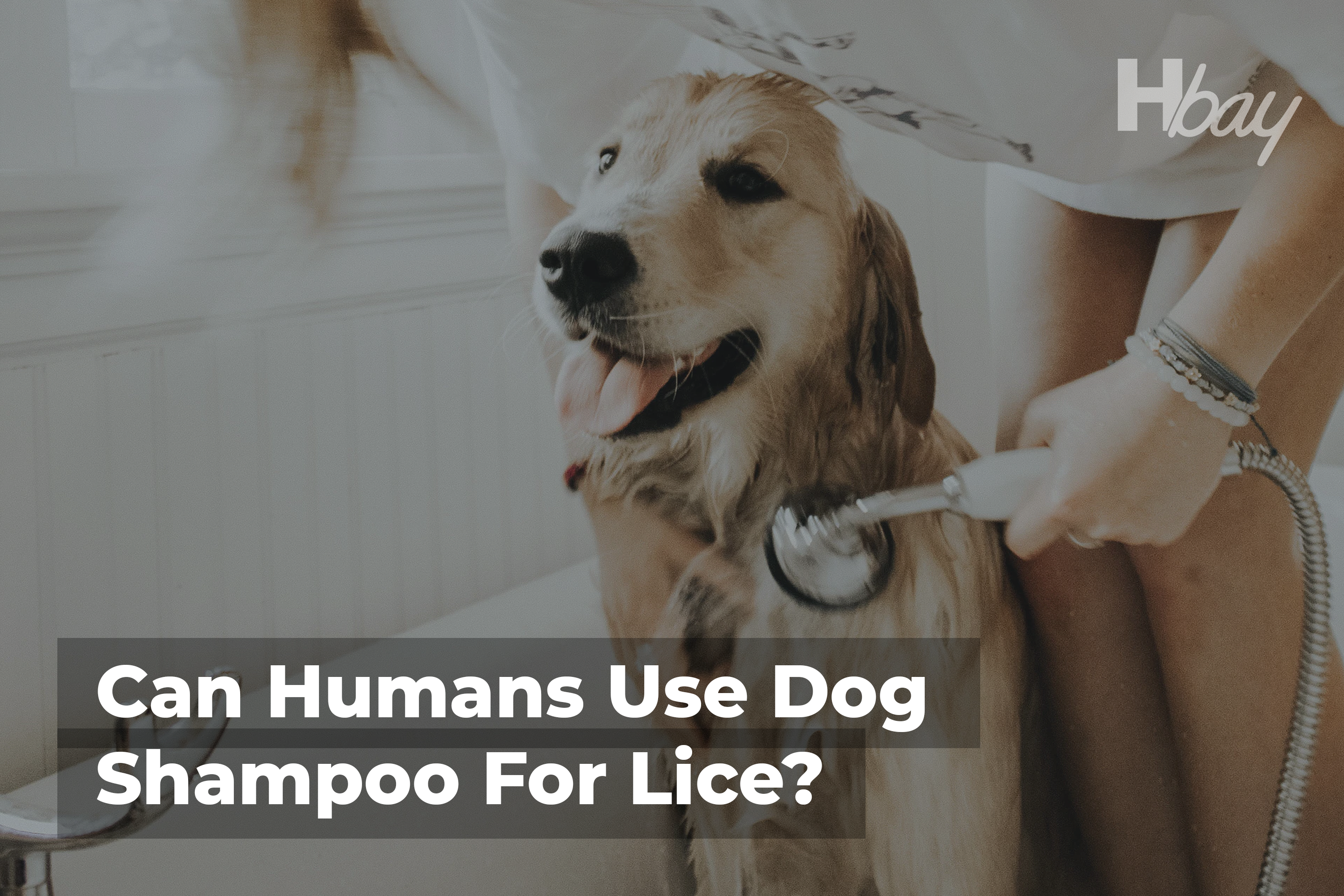 Can Humans Use Dog Shampoo For Lice