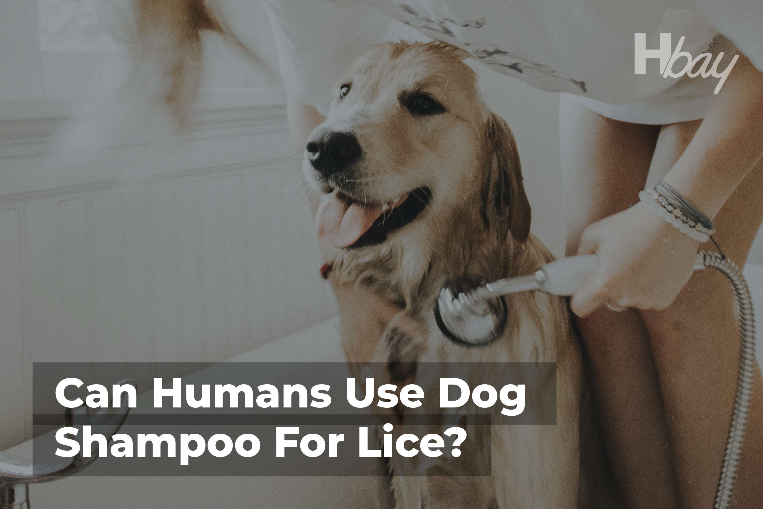 Can people clearance use dog shampoo