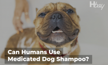 can humans use dog tick shampoo