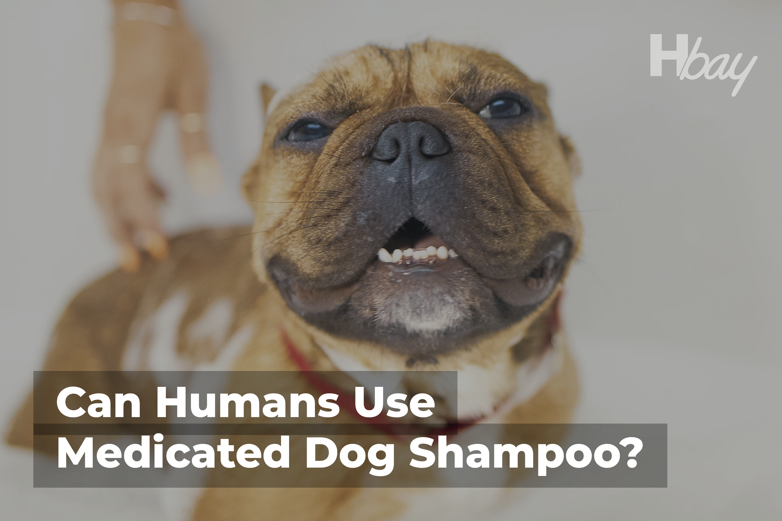 Can Humans Use Medicated Dog Shampoo