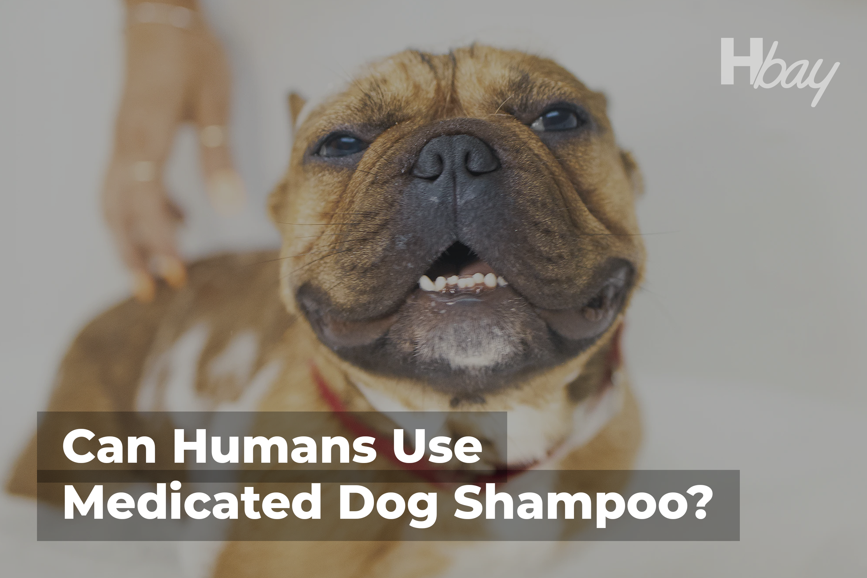 can humans use dog shampoo on their hair