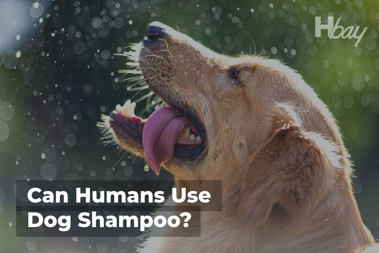 7+ Ways Can Humans Use Dog Shampoo? Housekeepingbay