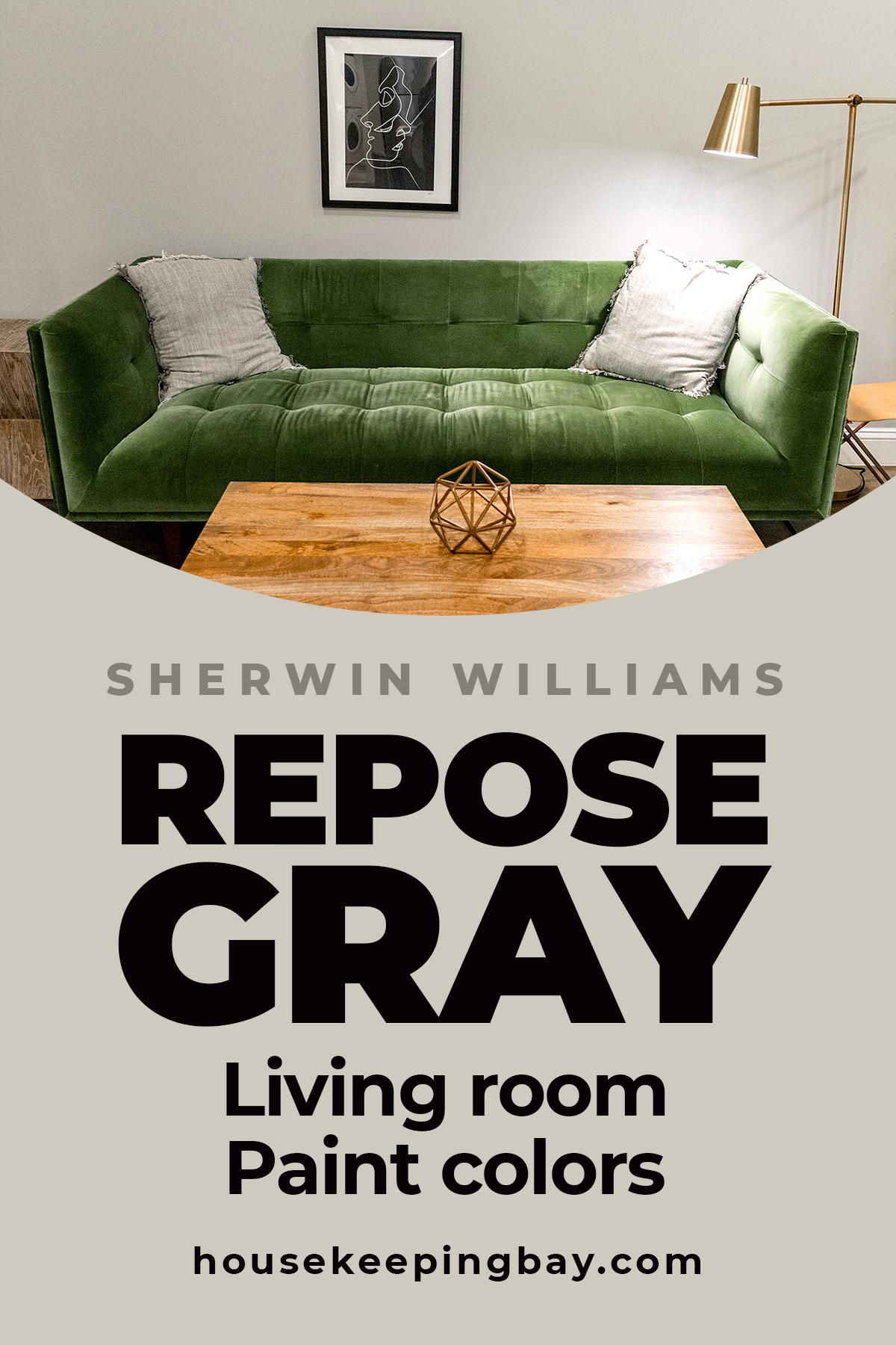 Repose Gray living room Paint colors