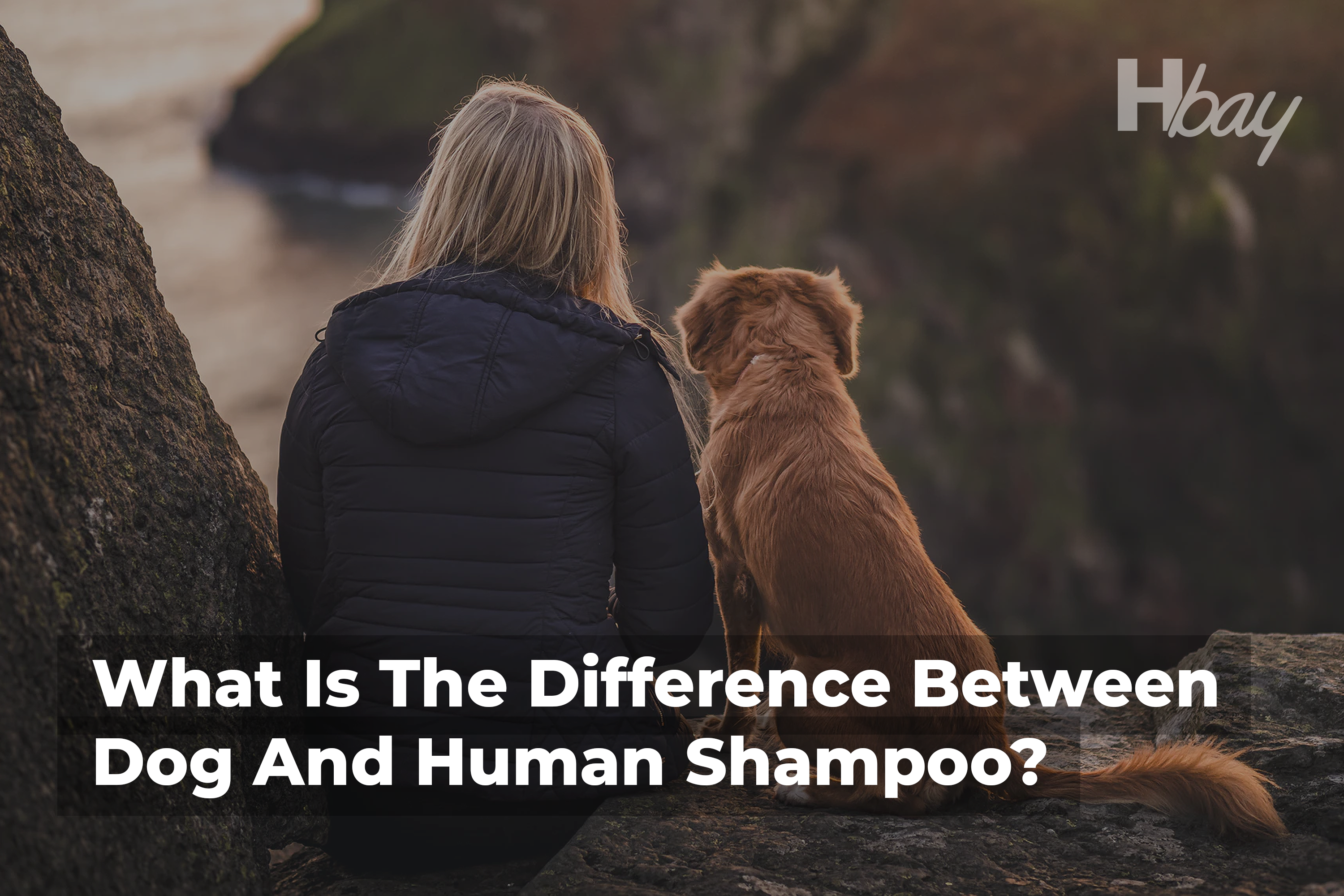 What Is The Difference Between Dog And Human Shampoo