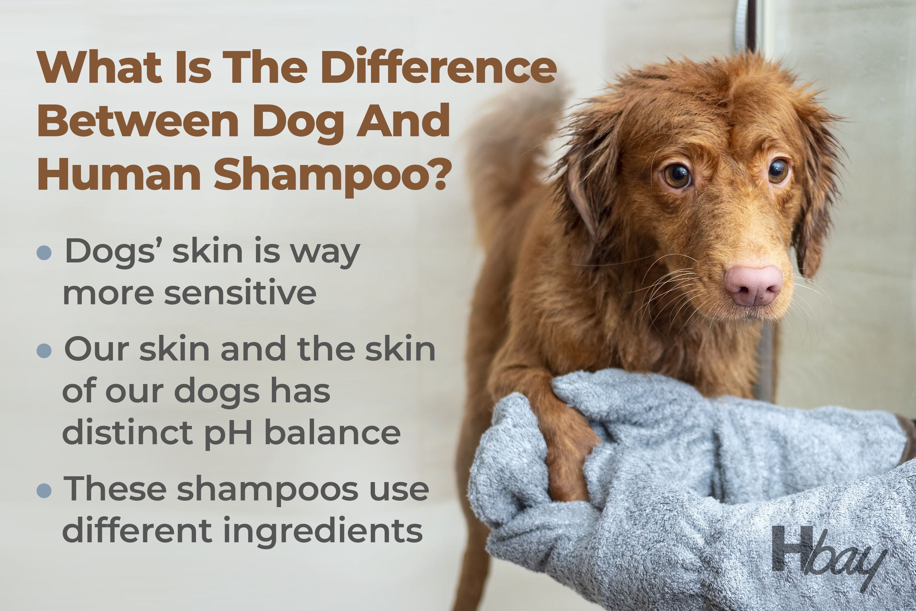 What Is The Difference Between Dog And Human Shampoo