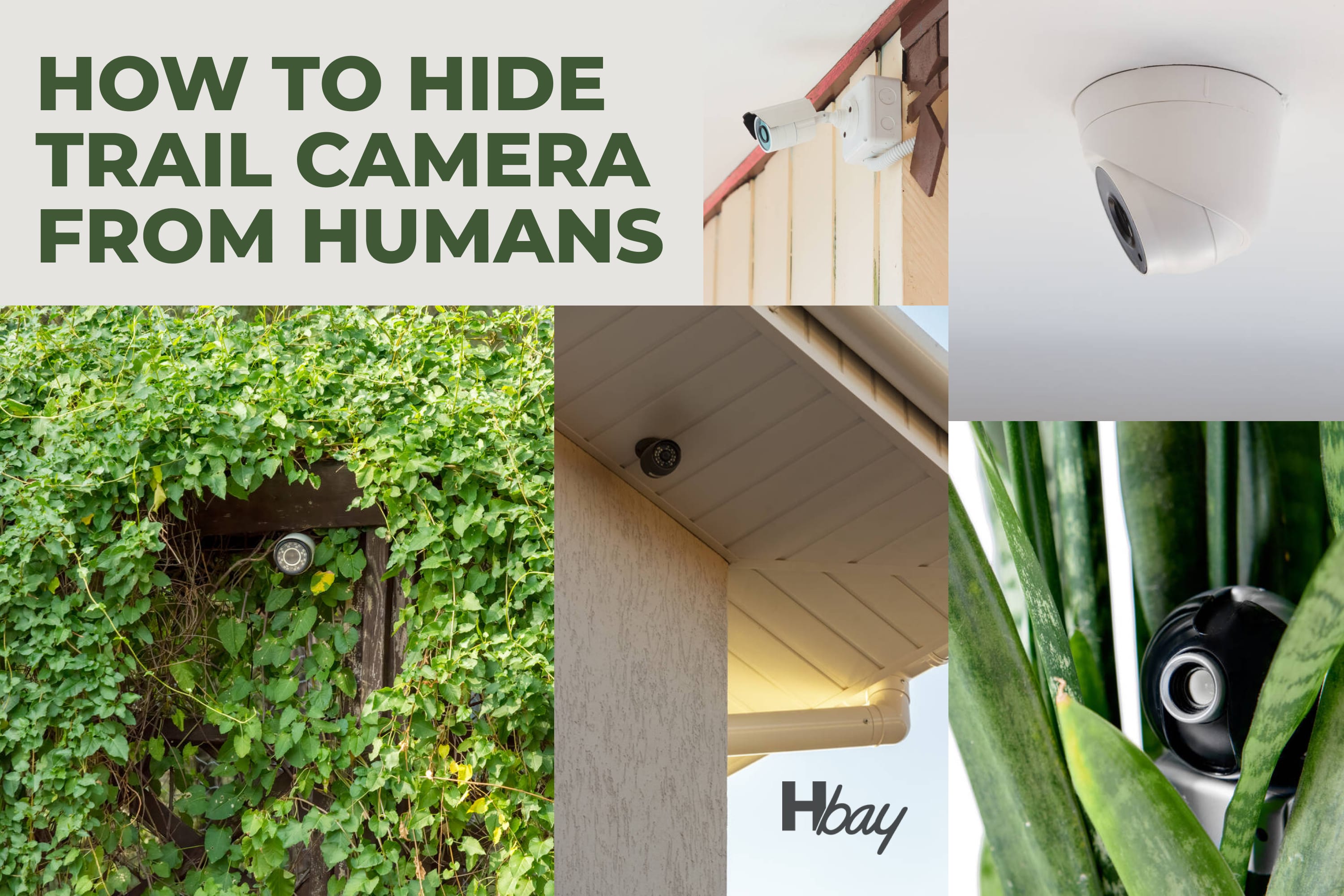 How to Hide Trail Camera From Humans