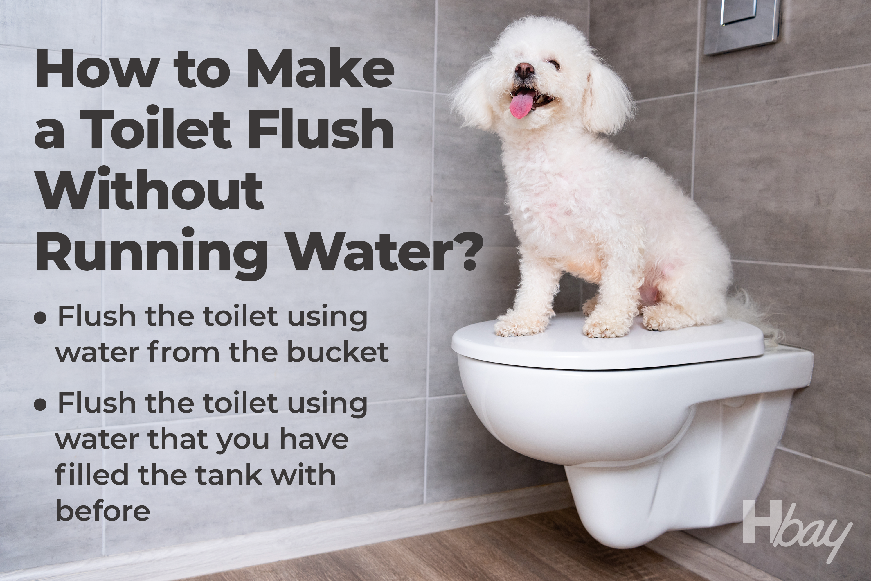 How to Make a Toilet Flush Without Running Water