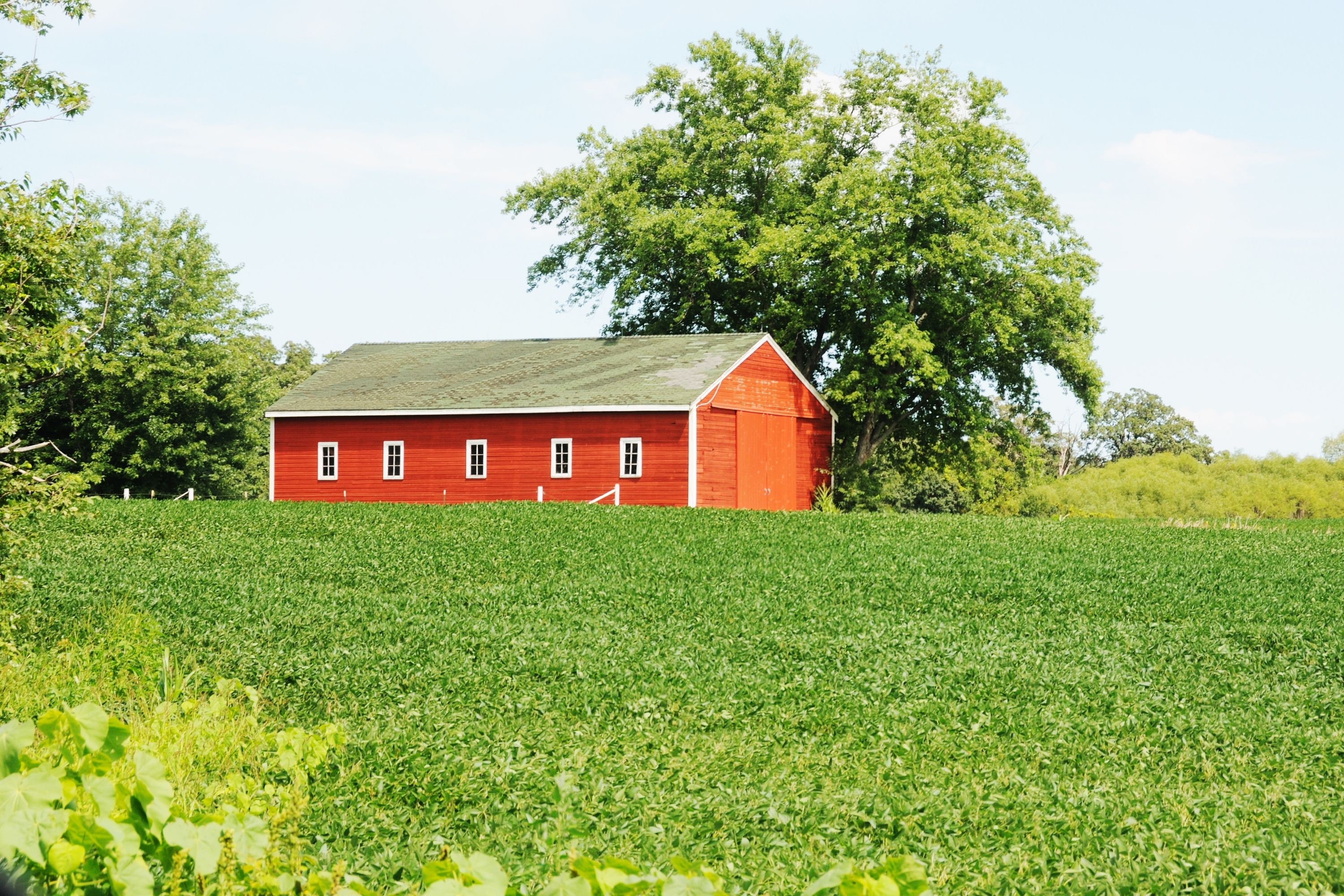 How to Stop Condensation On Metal Shed Roof prevent moisture