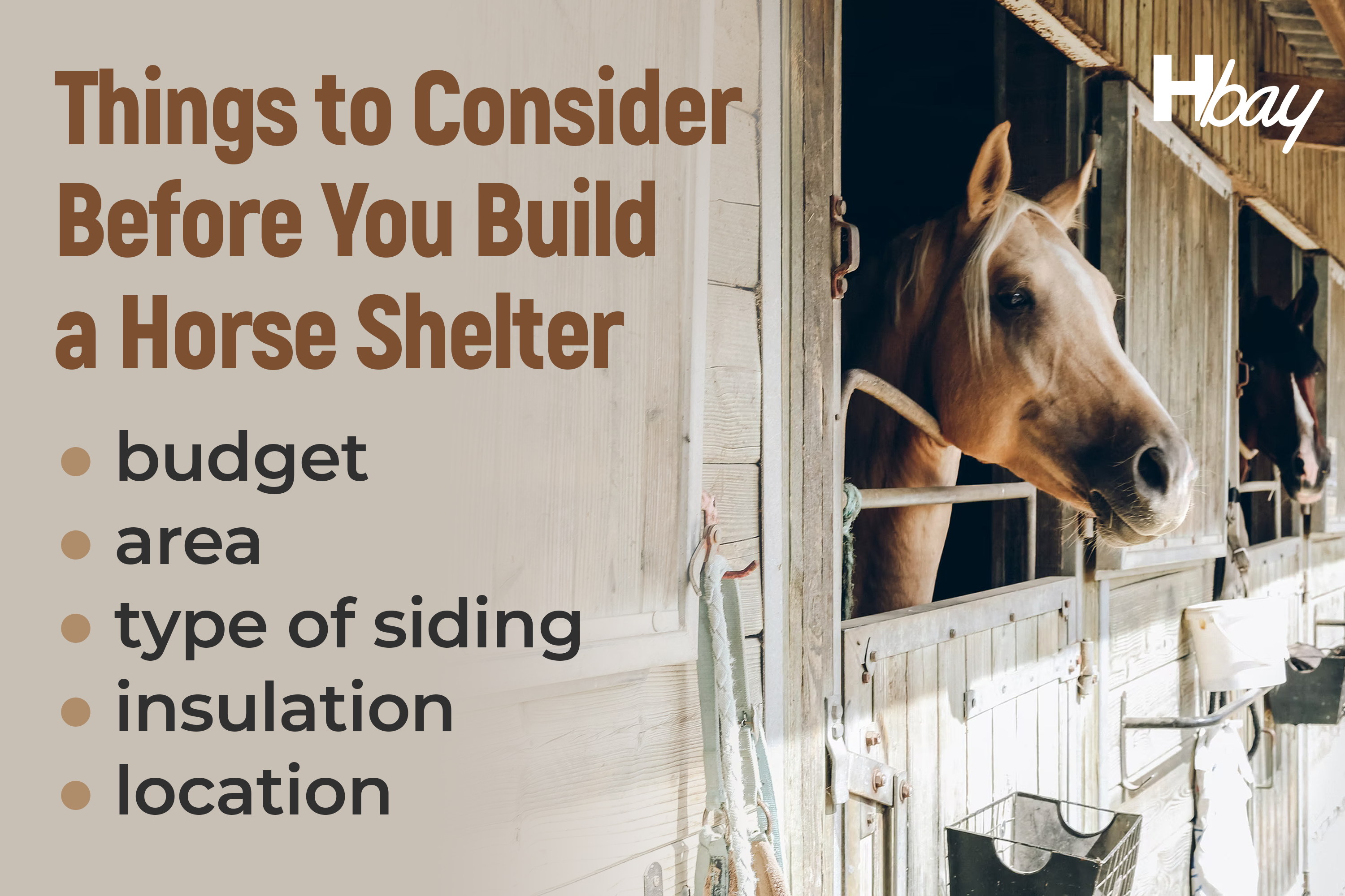 Things to Consider Before You Build a Horse Shelter