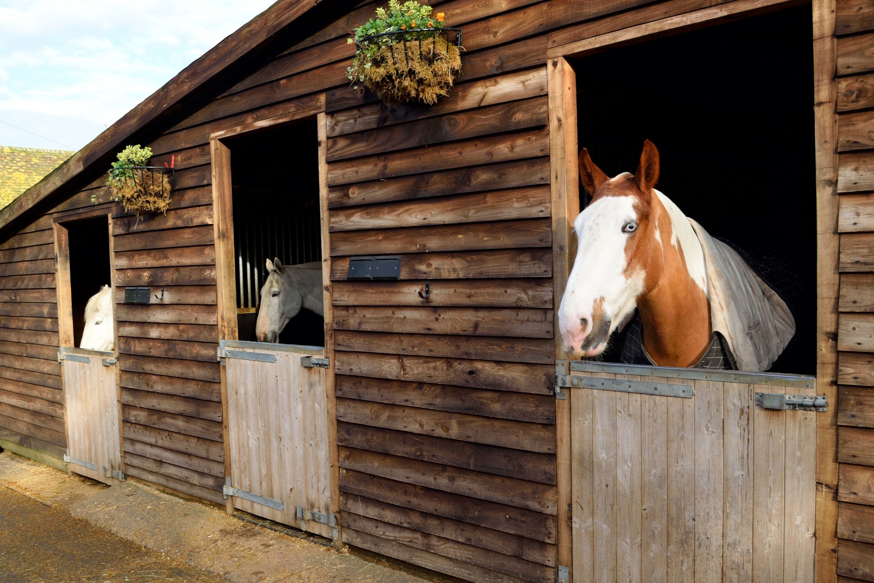 What Is a Loafing Shed tips