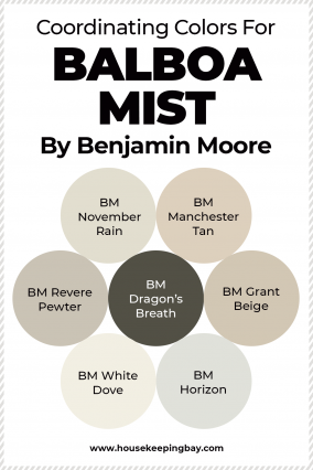 Balboa Mist By Benjamin Moore | Ultimate Guide - Housekeepingbay