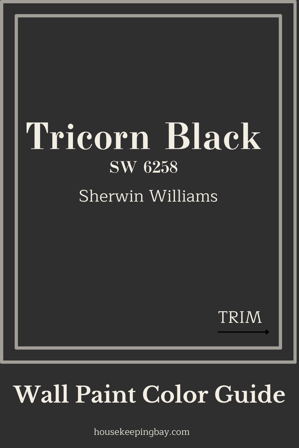Tricorn Black by sherwin williams Wall Paint Color Guide
