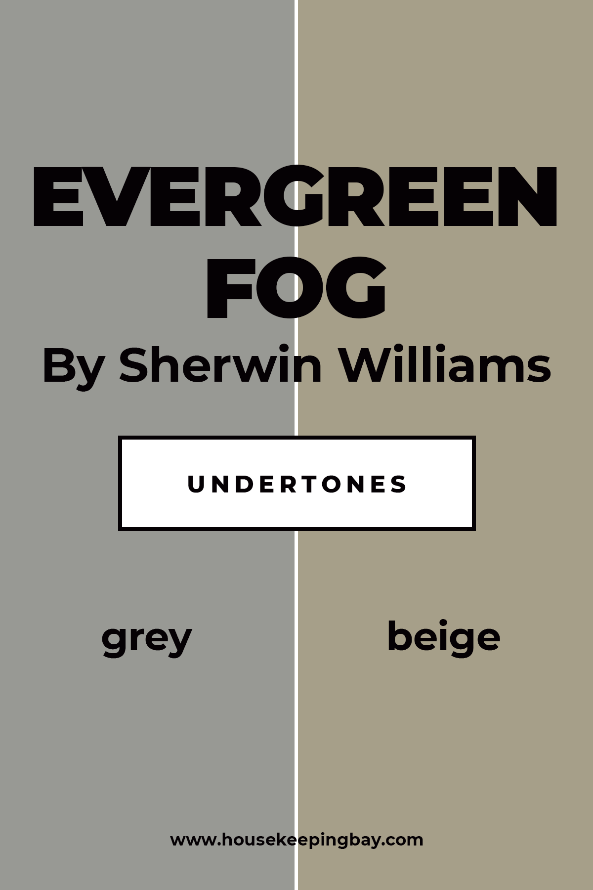 Evergreen Fog Undertones by Sherwin Williams