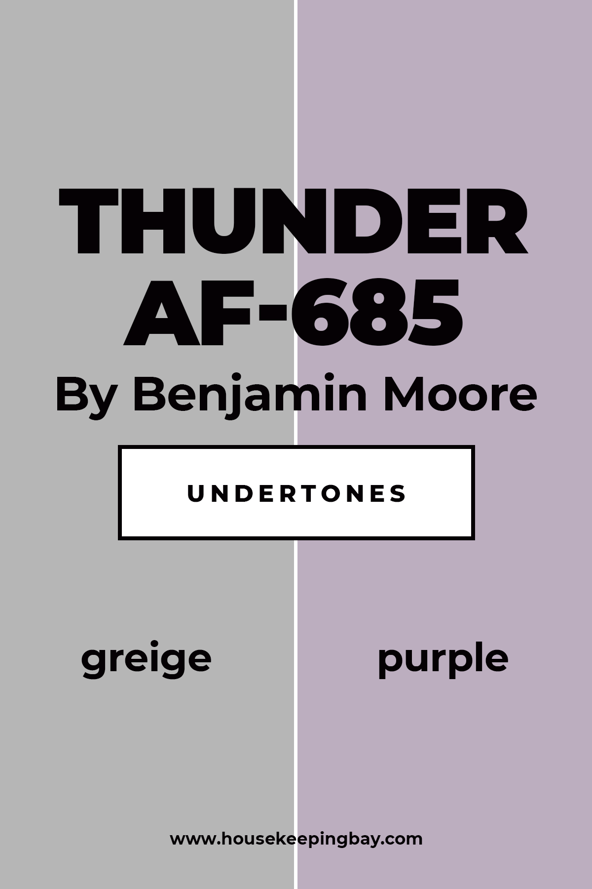 Thunder AF 685 By Benjamin Moore Undertones