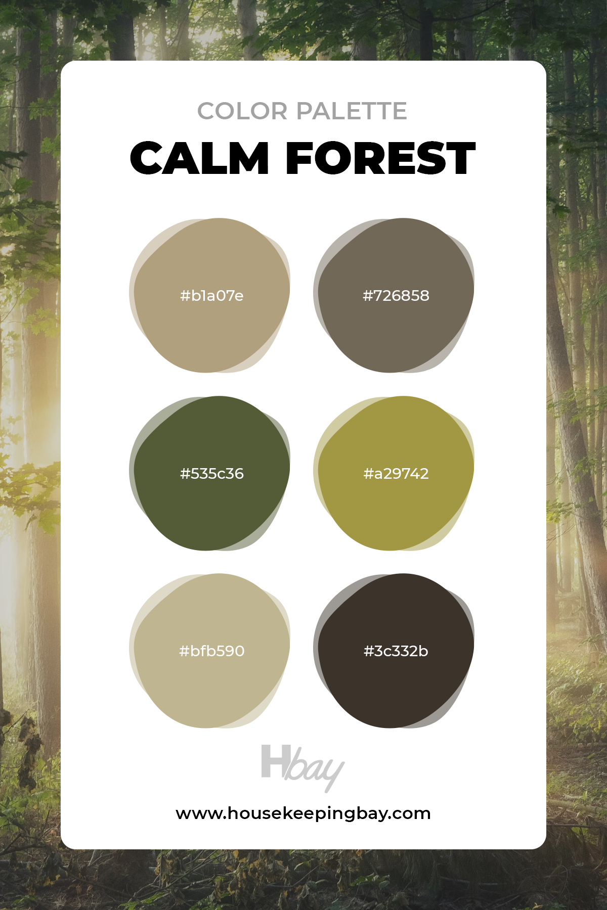 Calm Forest