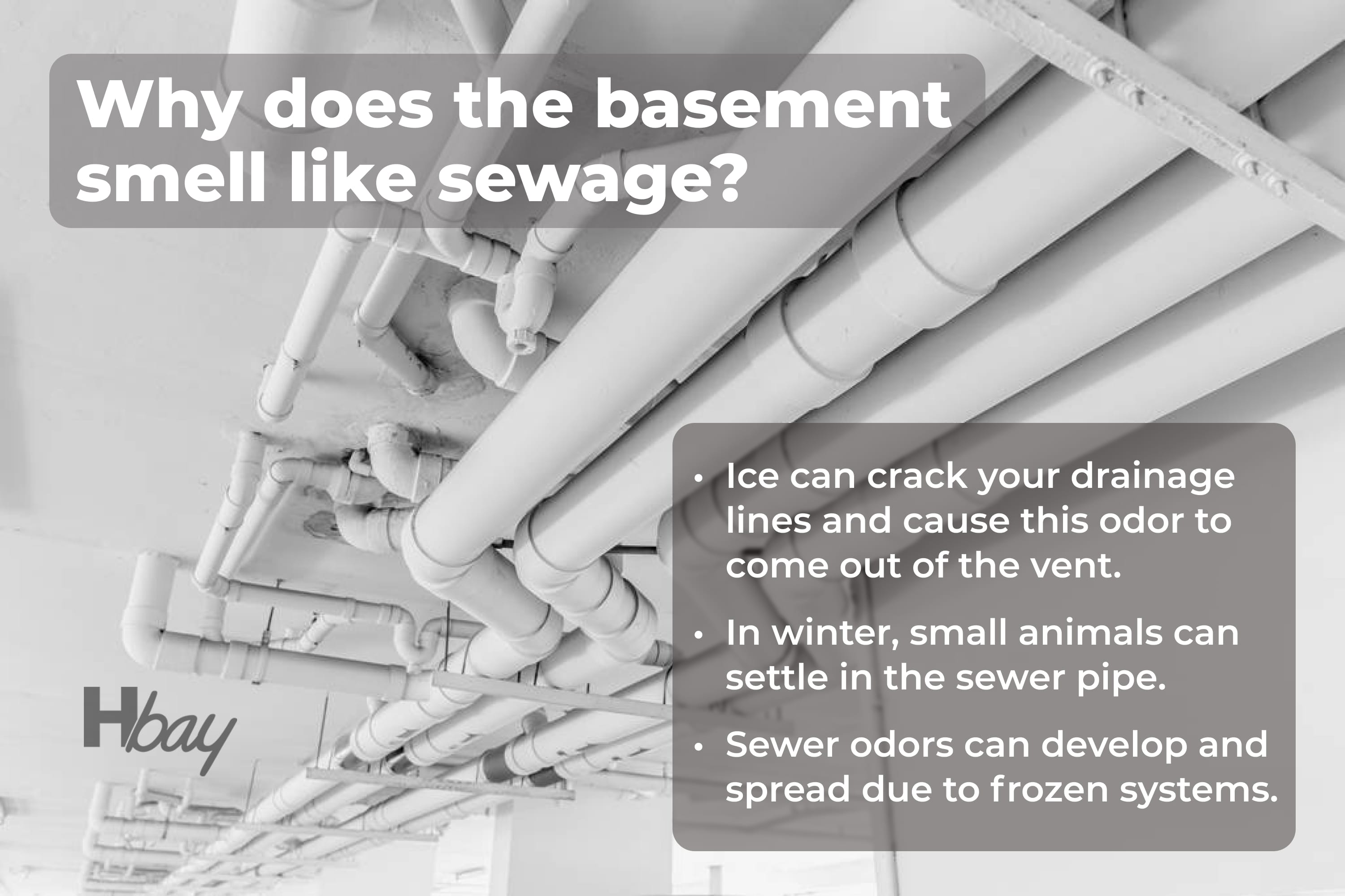 Why Does My Basement Smell Like Sewer When It Rains?