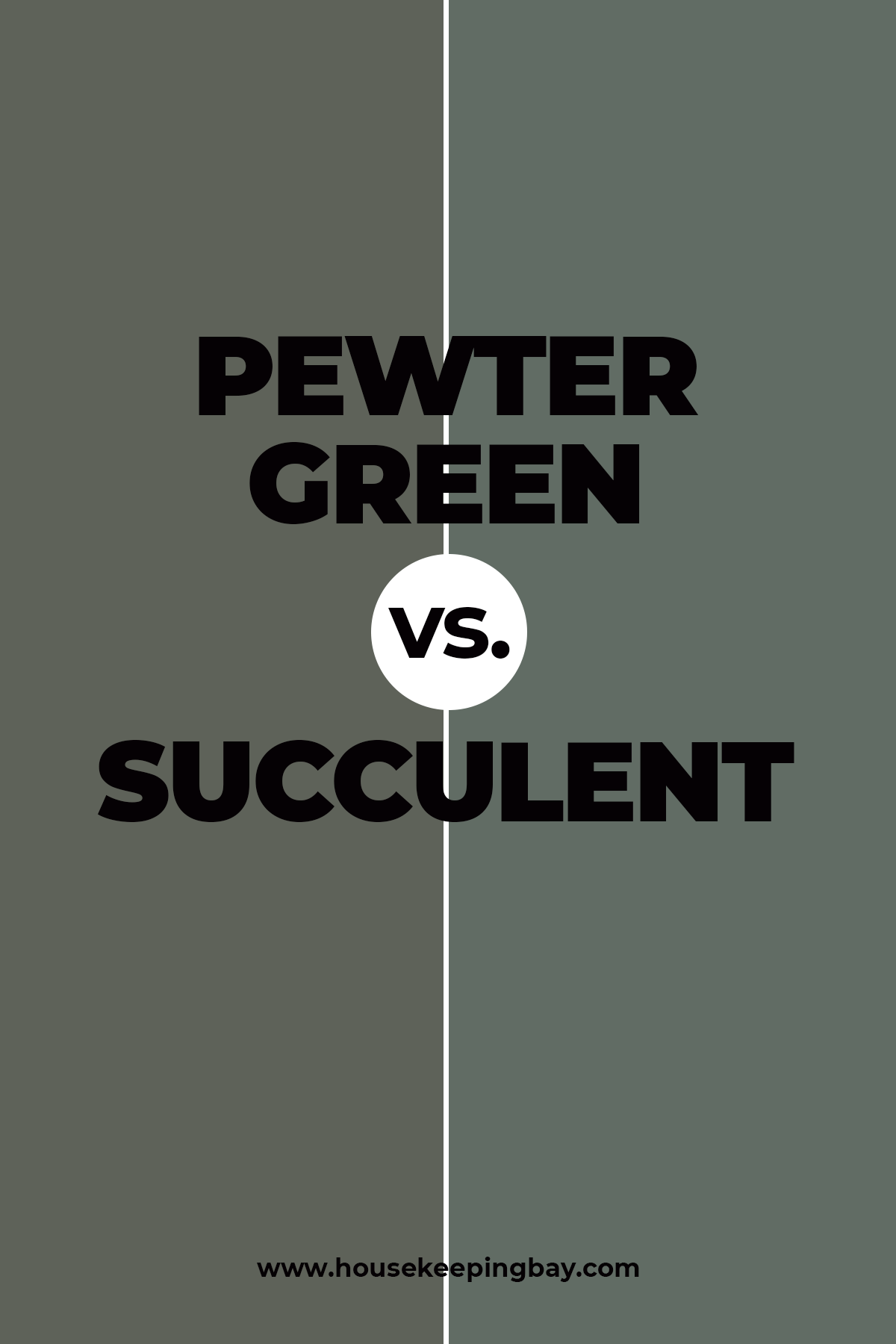 Pewter Green vs. Succulent