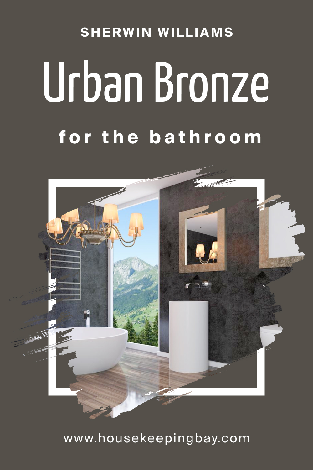 Sherwin Williams Urban Bronze Paint Color for bathroom