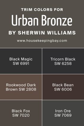 Urbane Bronze SW 7048 by Sherwin Williams | Detailed Guide