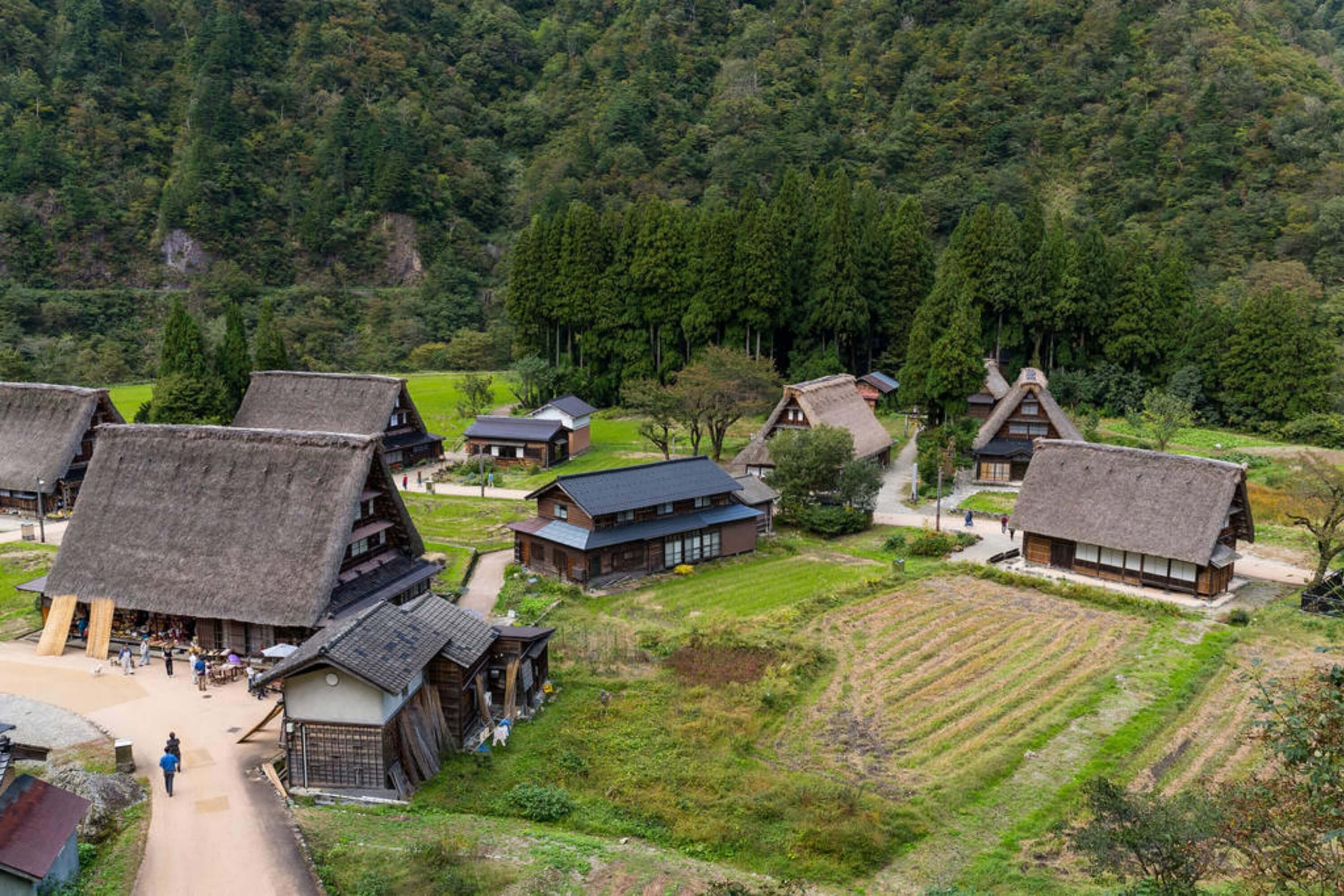 How Long Do Thatched Roofs Last