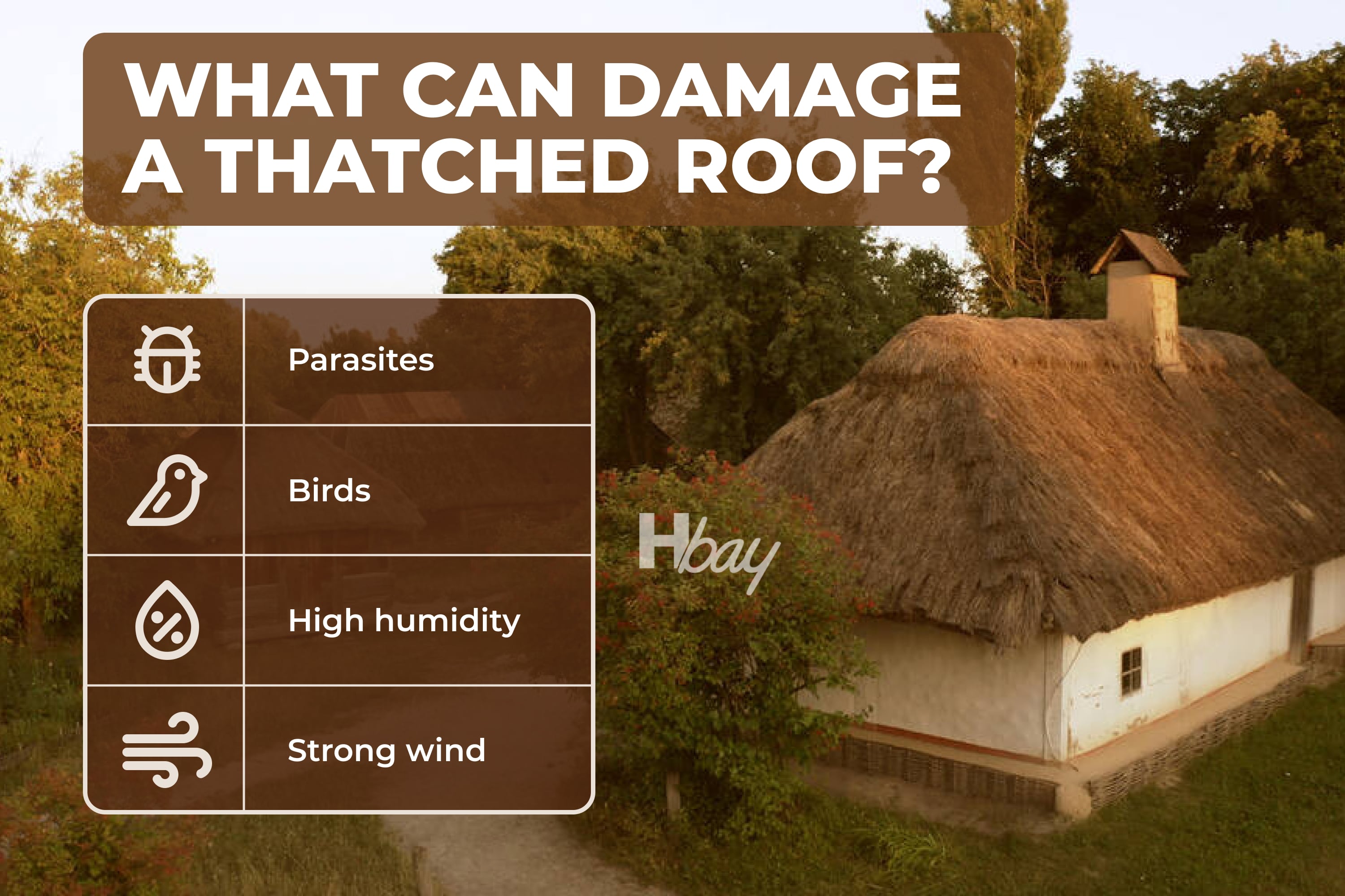 What Factors Might Influence Your Thatch Roof Life