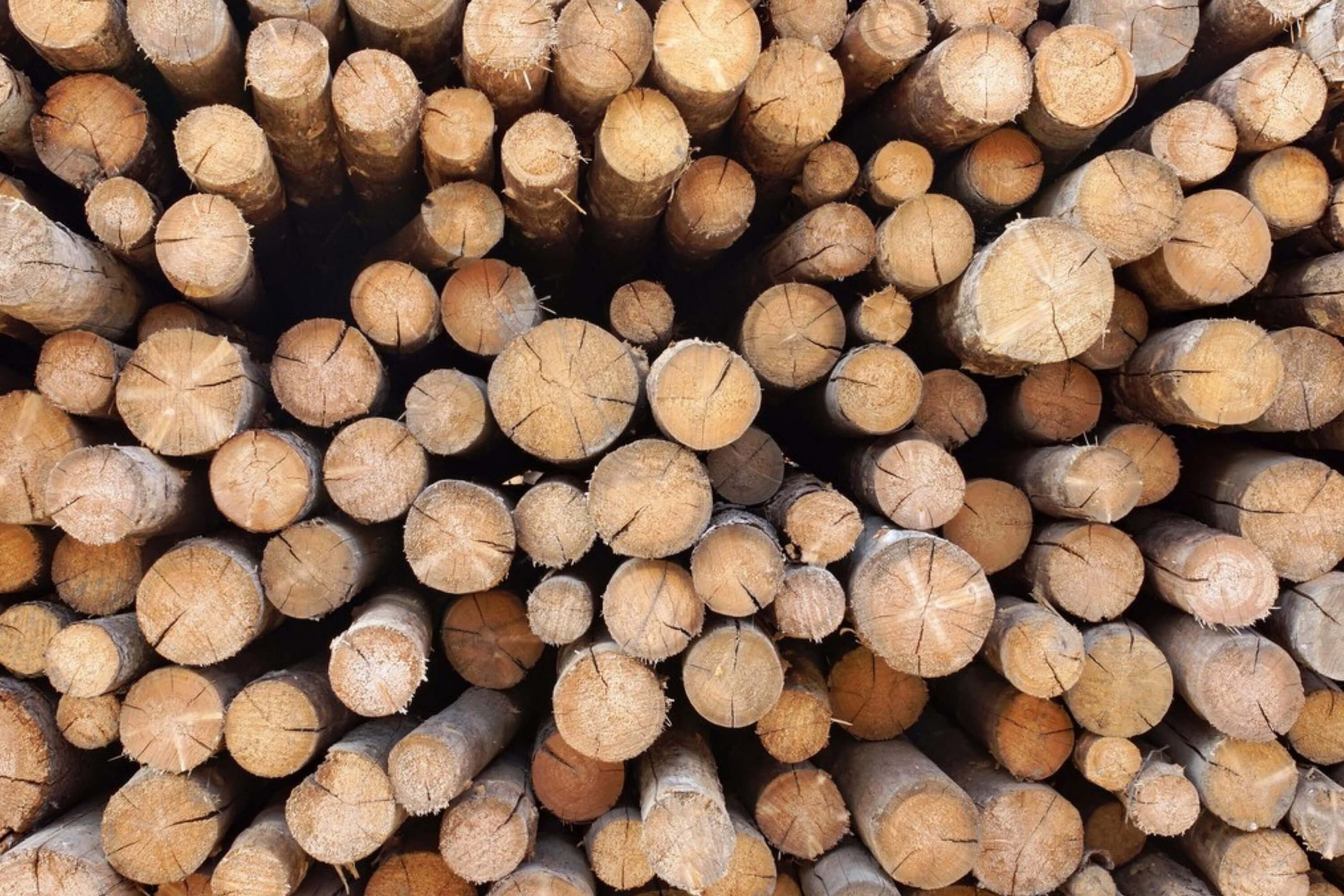 Consider the Thickness of Treated Lumber Affecting Dry Time