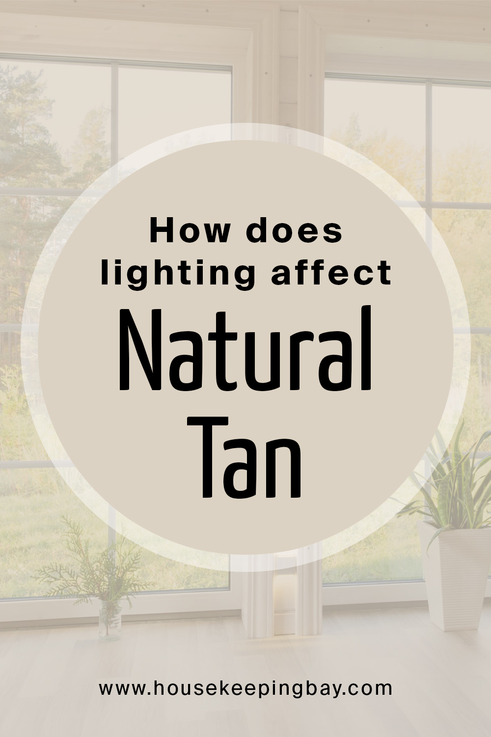 How Does Lighting Affect SW Natural Tan Paint Color