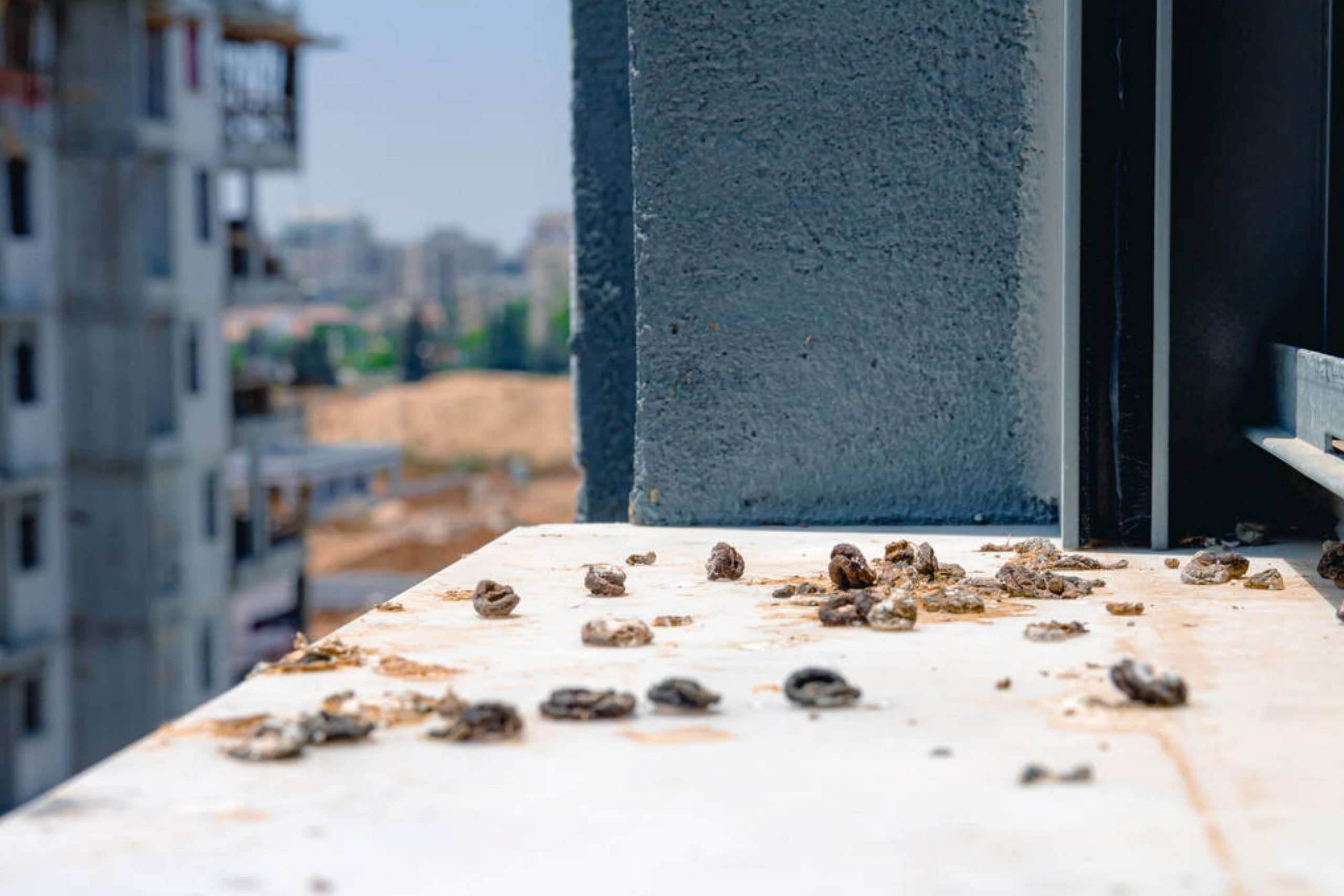 Cleaning Major Bird Droppings Off Concrete