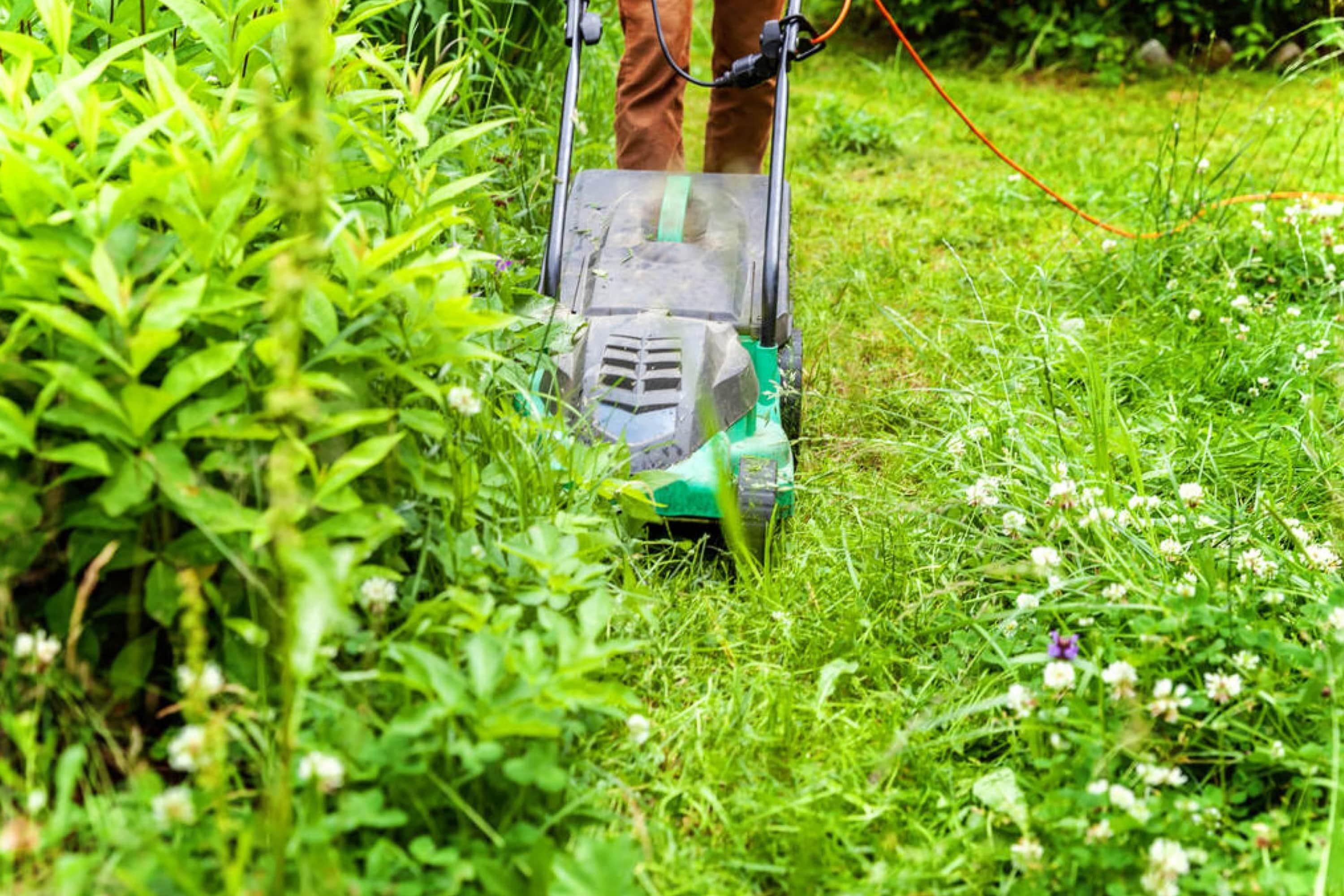 Can You Cut Grass After It Rains