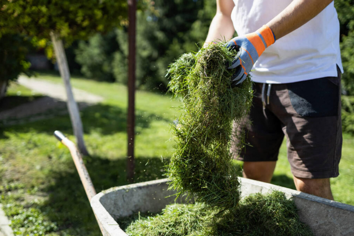 how-long-does-it-take-for-grass-to-dry-after-rain-housekeepingbay