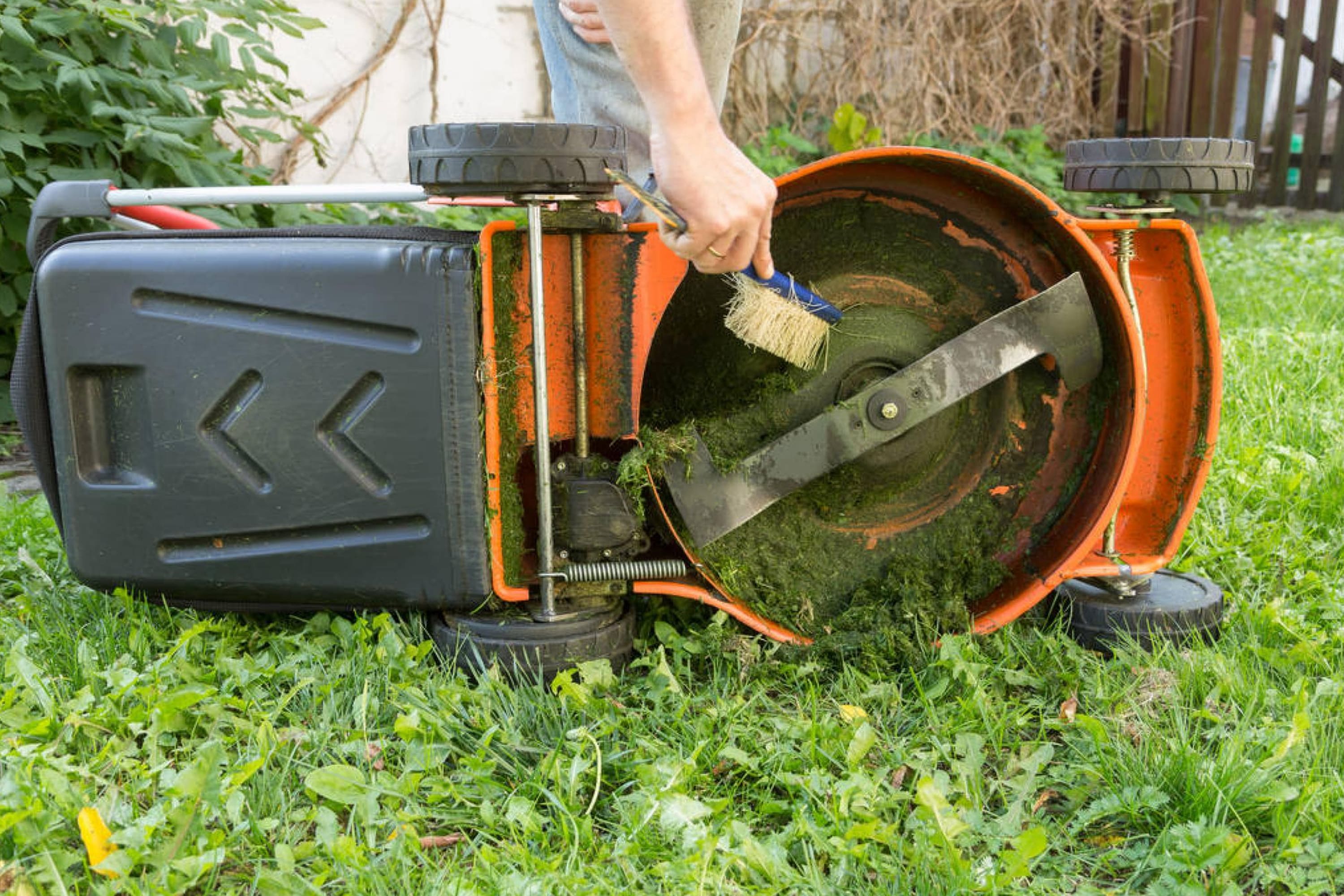 Damp Blades Of Grass Can Damage the Mower