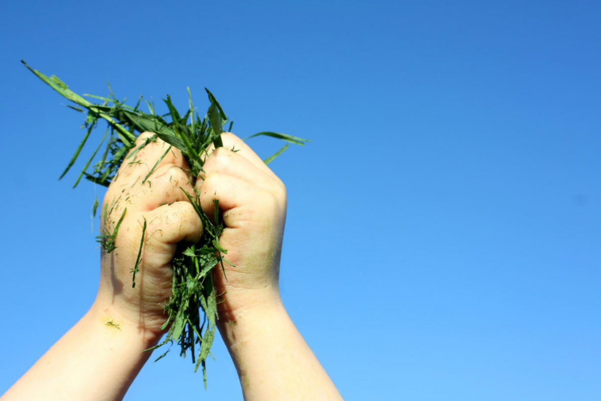 how-long-does-it-take-for-grass-to-dry-after-rain-housekeepingbay