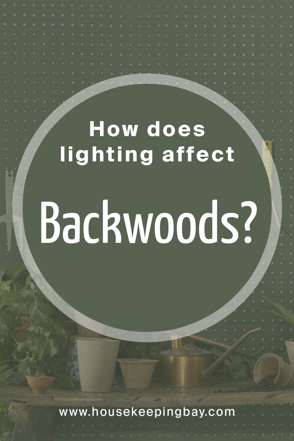 How does lighting affect Backwoods
