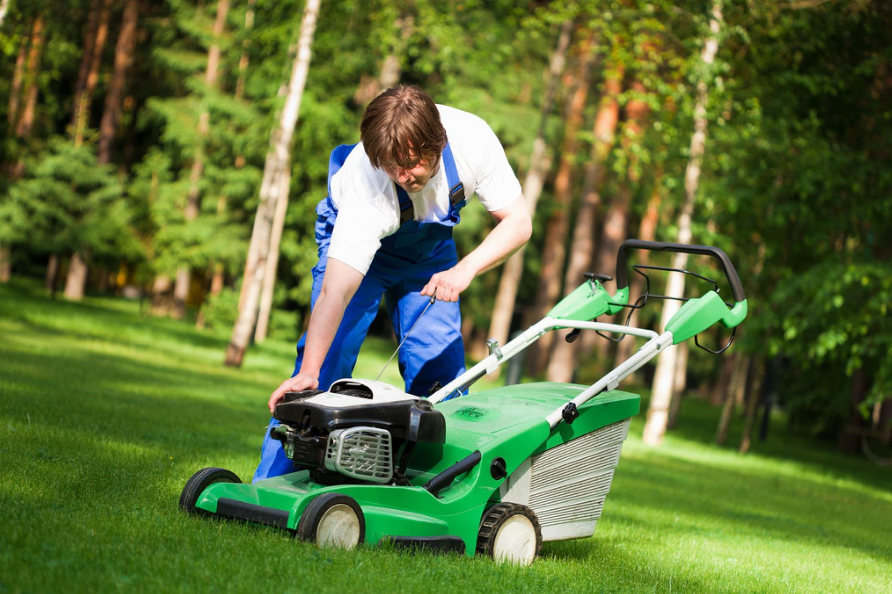 Mowing a Wet Lawn Can Easily Spread Fungal Disease