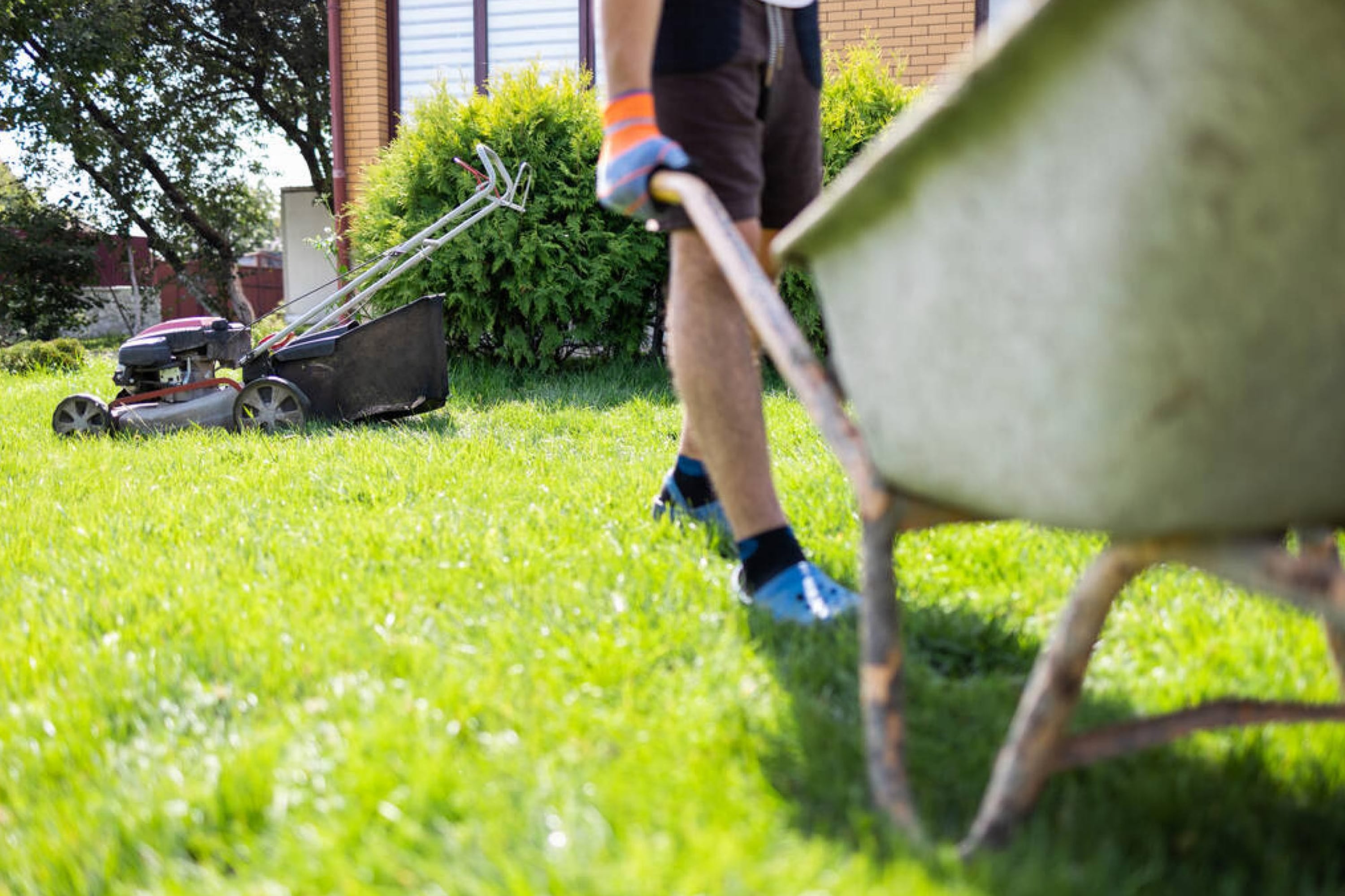 The Base Of Your Lawn Can Be Damaged By Cutting Wet Grass