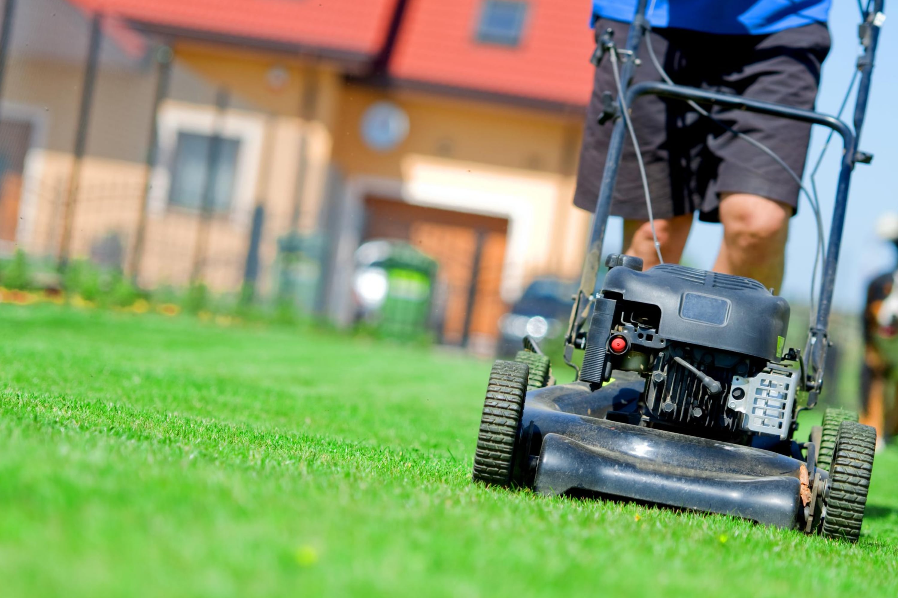 What to Do If You Have to Mow a Wet Lawn