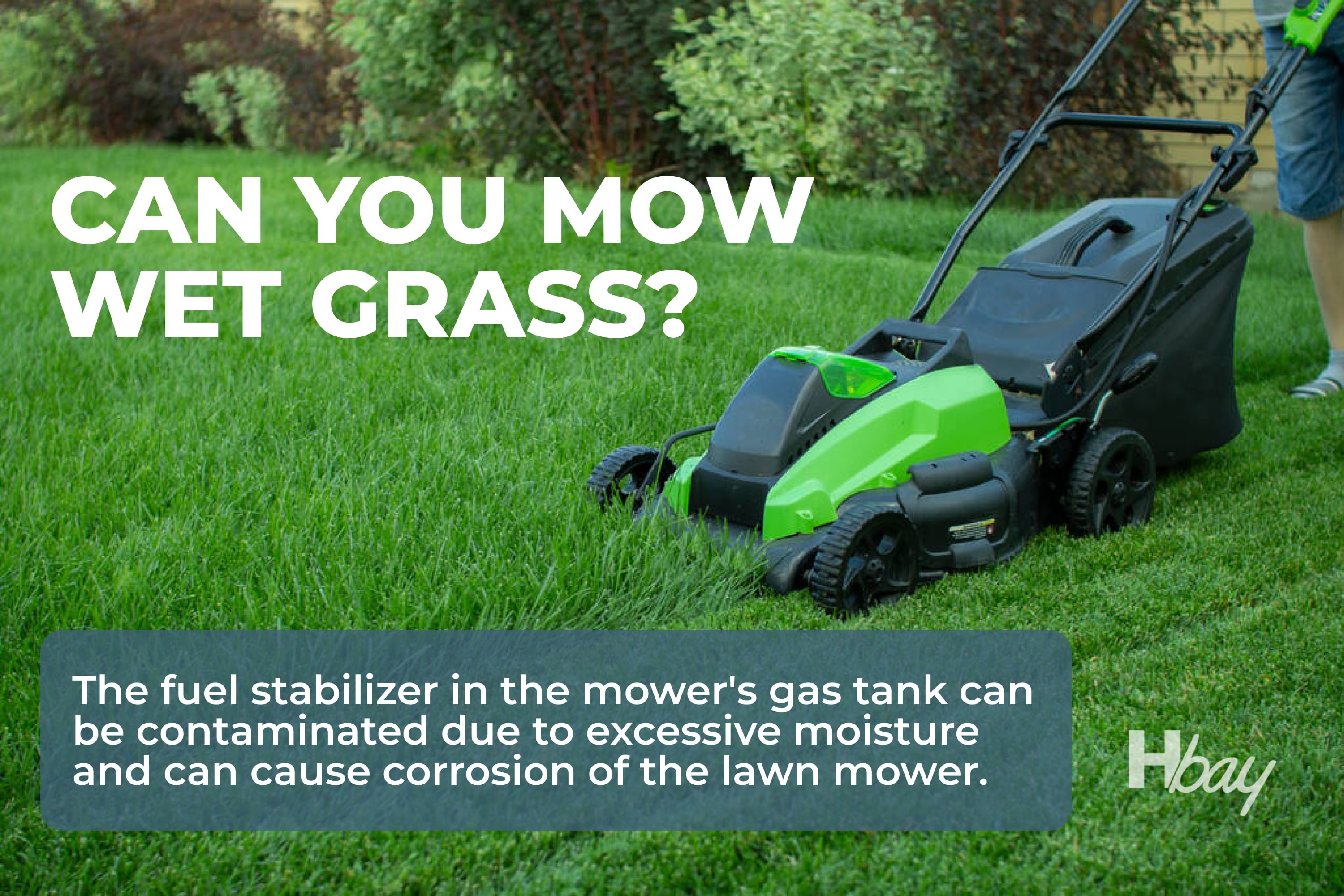 Can You Cut Grass After It Rains