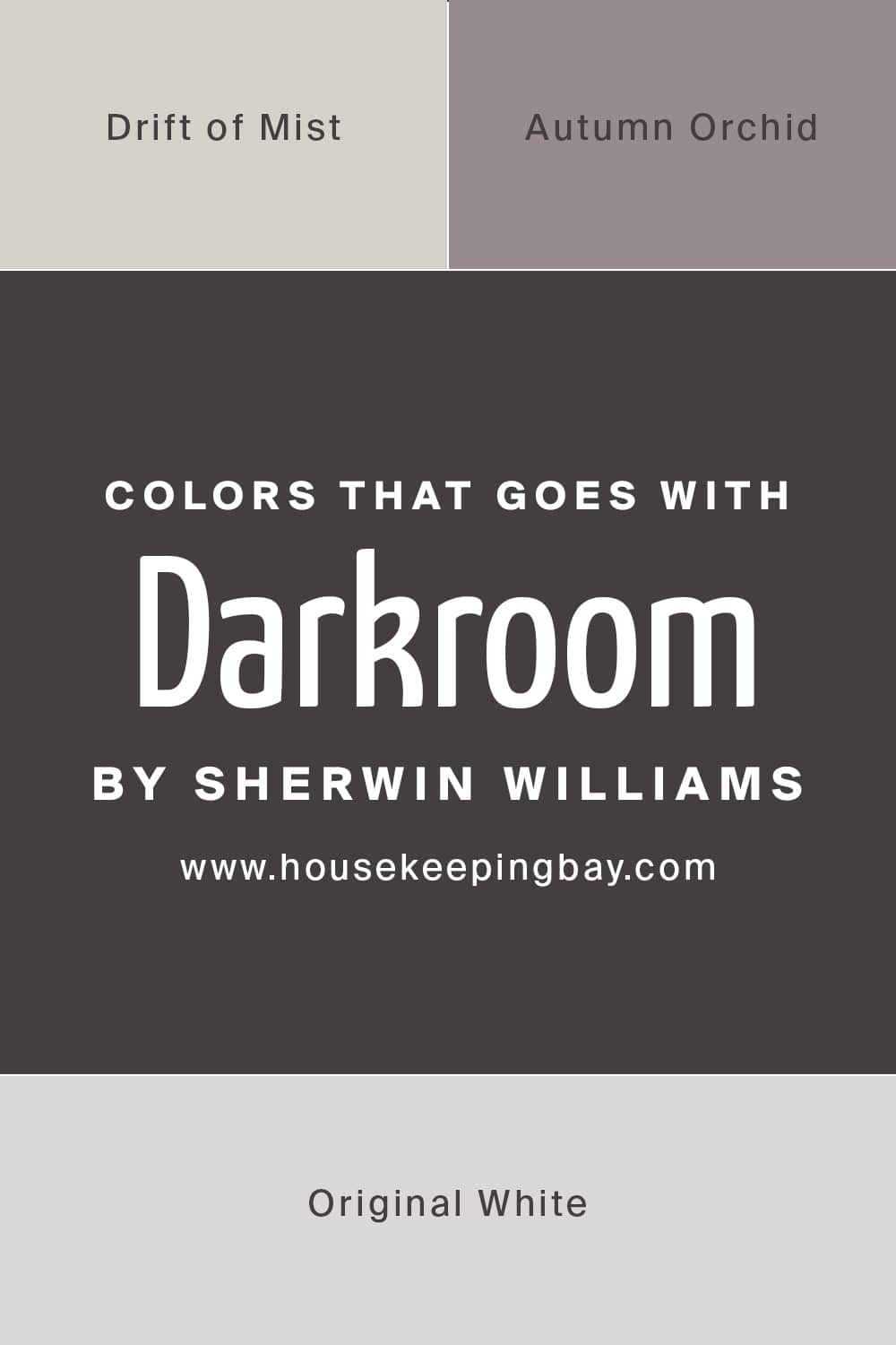 Colors that goes with Darkroom by Sherwin Williams