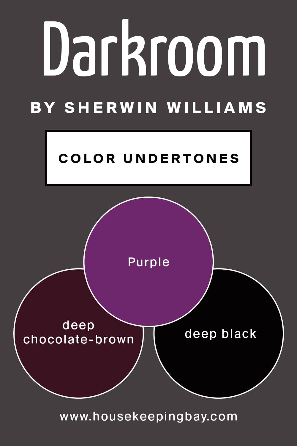 Darkroom by Sherwin Williams Color Undertones
