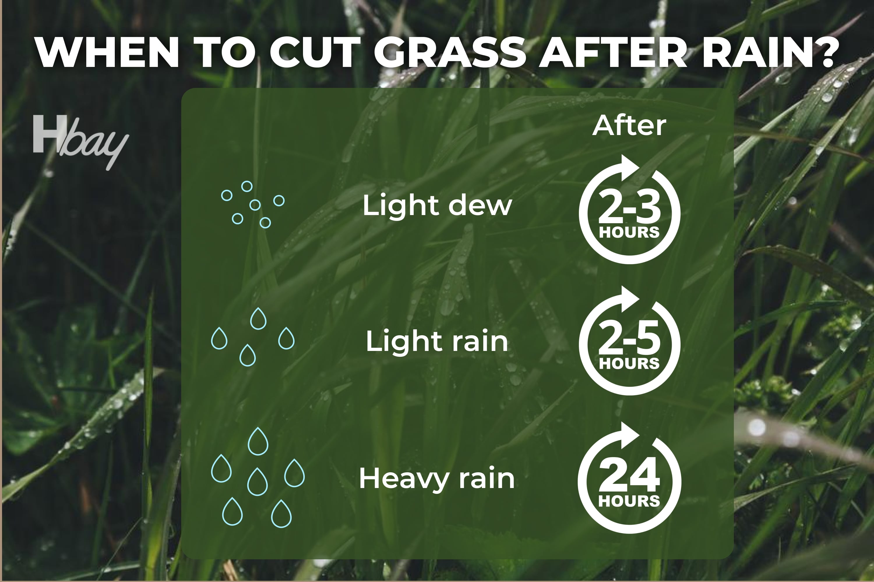 How Long Does Grass Take to Dry After Rain