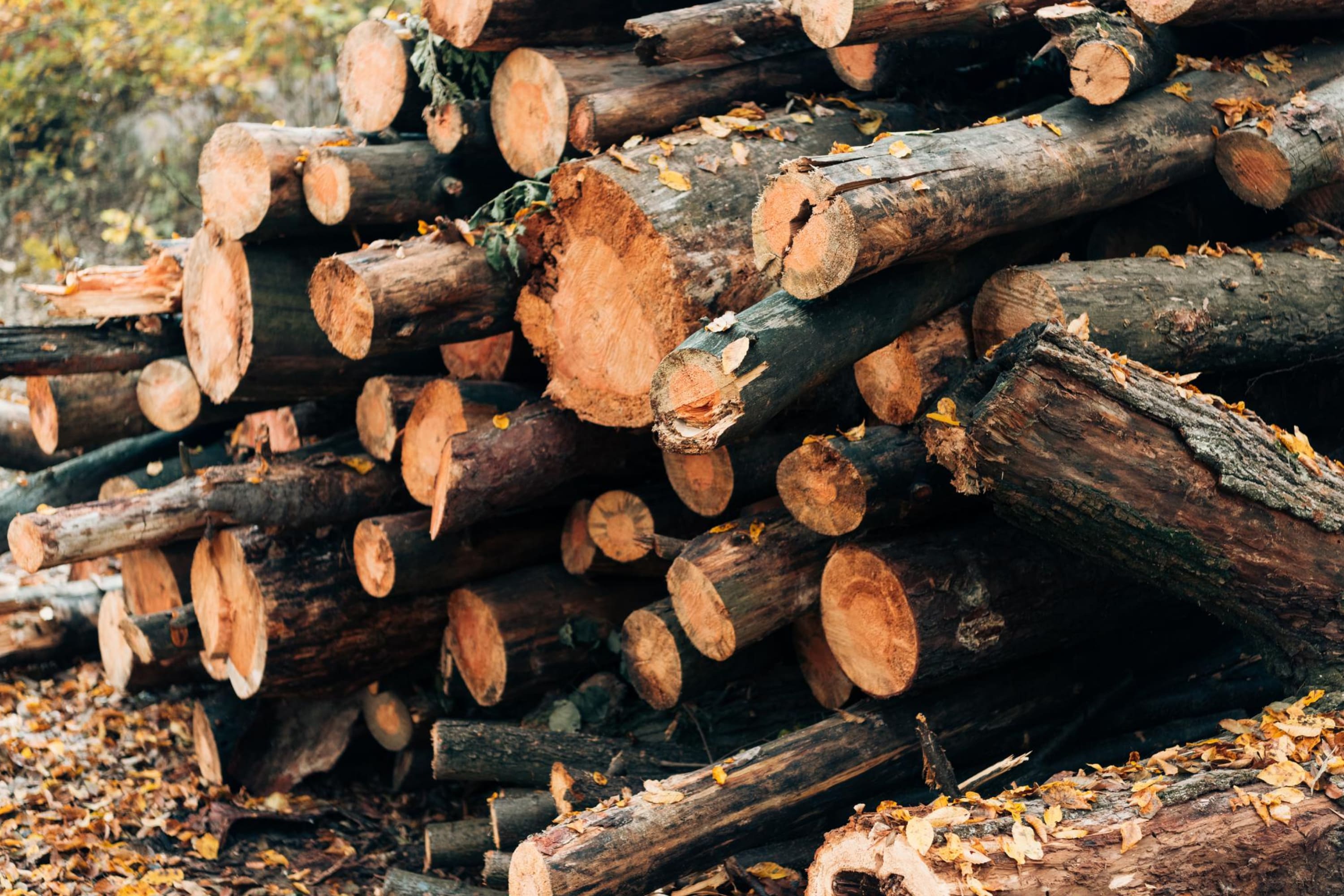 How Long Does Pressure Treated Wood Take to Dry