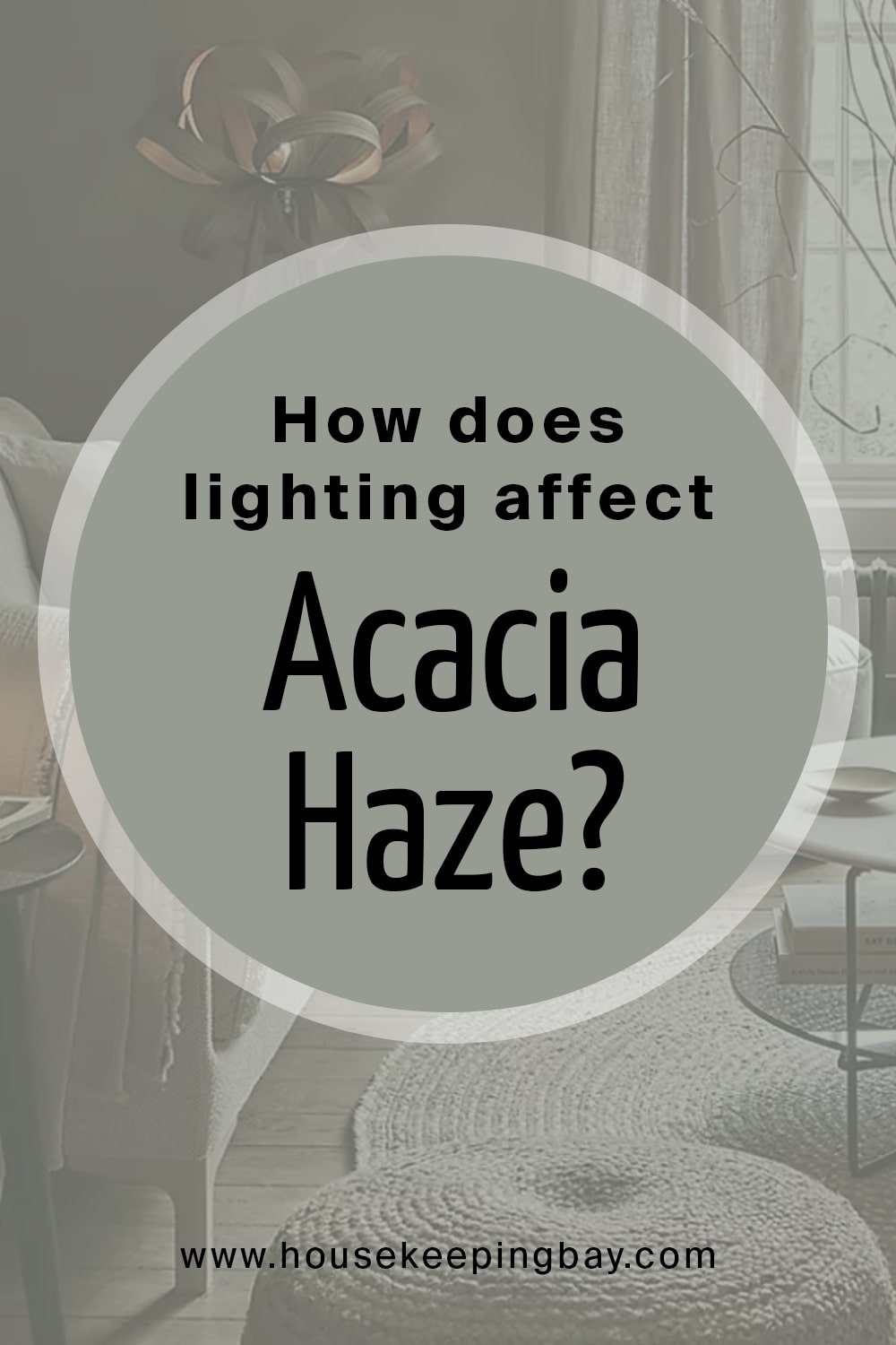How does lighting affect Acacia Haze
